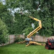 Best Lawn Disease Treatment  in Ardmore, AL