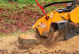 Best Seasonal Cleanup (Spring/Fall)  in Ardmore, AL